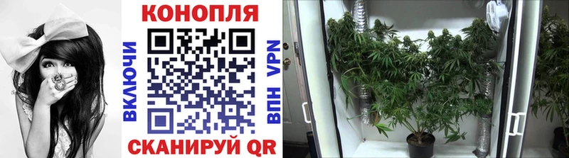 Названия наркотиков Анива Cocaine  Каннабис  OMG вход  АМФ  ГАШ  МЕФ  Галлюциногенные грибы 