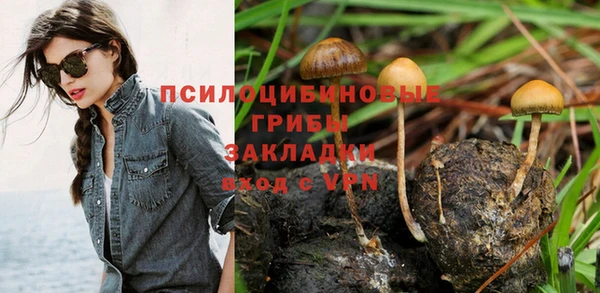 таблы Шадринск