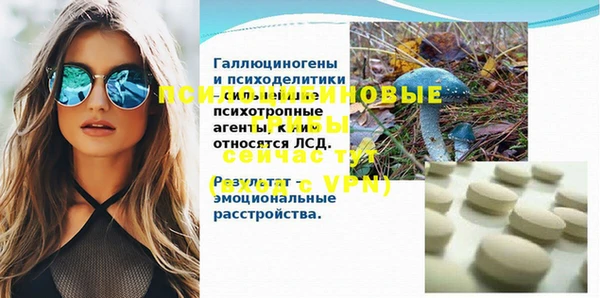 таблы Шадринск