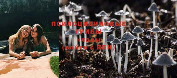 таблы Шадринск