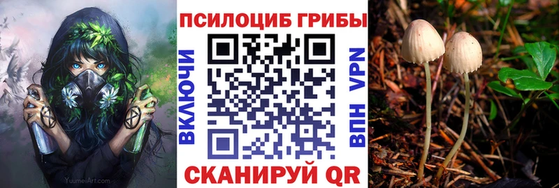 наркота  Анива  сайты даркнета Telegram  Галлюциногенные грибы Psilocybe 